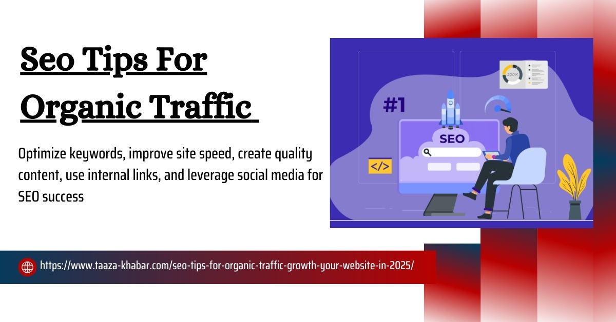 SEO Tips For Organic Traffic Growth Your Website In 2025